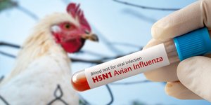 γρίπη των πτηνών H5N1
