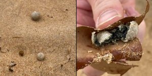 Οι μπάλες που ξεβράστηκες στις ακτές του Σίδνεϊ