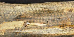 Περίτεχνα τατουάζ στο χέρι μιας μούμιας 1.200 ετών / Κaye at al / 2025 (PNAS)