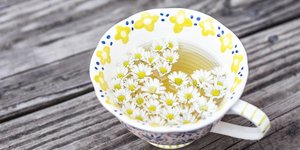 Ποια βότανα βοηθούν στις καούρες