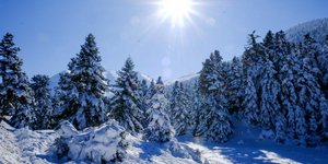 Ρεκόρ επισκεπτών στα χιονοδρομικά κέντρα της Ελλάδας