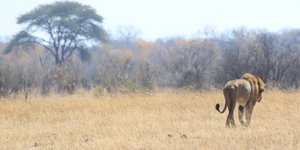 Ζιμπάμπουε
