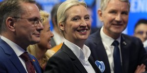 Η επικεφαλής της γερμανικής ακροδεξιάς (ΑfD) Αλίς Βάιντελ