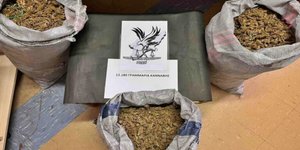 Η αποξηραμένη κάνναβη που βρέθηκε στην κατοχή του 44χρονου