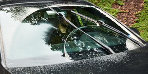 Πιτσιλιστήρια