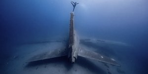 «Deep Sea Birds» του Wojciech Dopierala από την Πολωνία / Underwater Photographer of the Year 2025