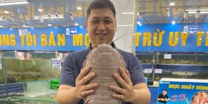 Το ισόποδο από το Βιετνάμ πήρε τιμητικά το όνομα του Νταρθ Βέιντερ / Nguyen Thanh Son