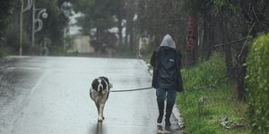 Βόλτα σκύλου στη βροχή