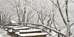 Χιόνια στην Πάρνηθα 