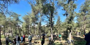 Φυτεύτηκαν 1.500 νέα δέντρα στο περιαστικό δάσος της Τούμπας