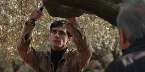 Η «Γη της Ελιάς» επιστρέφει απόψε στους τηλεοπτικούς μας δέκτες με ένα νέο επεισόδιο
