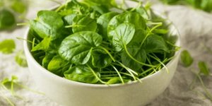 Νεροκάρδαμο