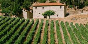 Κτήμα Μέγα Σπήλαιο