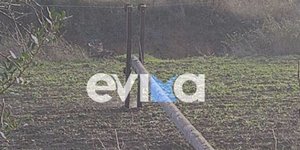 Η κολώνα της ΔΕΗ που έπεσε στην Εύβοια από τον δυνατό αέρα