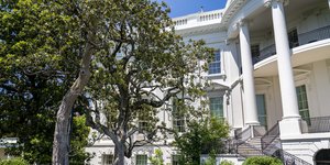 Μανόλια στον Λευκό Οίκο