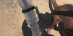 Το μήνυμα στο μπουκάλι που δεν ήταν αυτό που περίμεναν