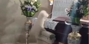 To σκυλάκι ήθελε να κάνει μια τελευταία αγκαλιά στο αφεντικό του