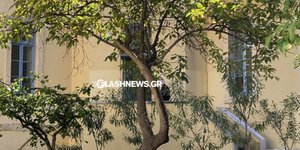 Στον ανακριτή η συνεργάτιδα του «εγκεφάλου» του κυκλώματος εμπορίας βρεφών