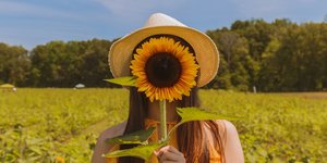 Φωτογραφία Unsplash