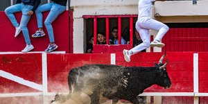 Μια πιο φιλική μορφή ταυρομαχίας στην «Άγρια Δύση» της Γαλλίας / WIKIPEDIA