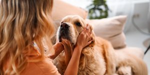 5 χαρακτηριστικά όσων μιλούν με τα κατοικίδιά τους σαν να είναι άνθρωποι