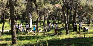 Δενδροφυτεύσεις σε Λυκαβηττό και Στρέφη