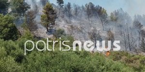 Φωτιά σε δασική έκταση στα Νέα Καλυβάκια Ηλείας