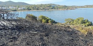 Το καμένο έδαφος από τη φωτιά που ξέσπασε κοντά σε ακτή του Σουνίου