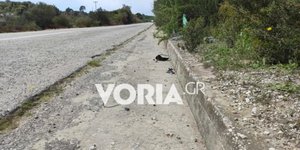 Χαλκιδική: Πώς έγινε η μοιραία παράσυρση