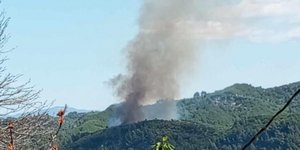 Φωτιά σε δασική έκταση στα Κρέστενα