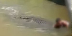 Η στιγμή της επίθεσης του κροκόδειλου στον 29χρονο σε ζωολογικό κήπο στις Φιλιππίνες