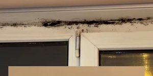 Παρίσι, μούχλα 