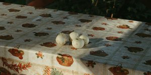 Πώς να καθαρίσετε τα πλαστικά τραπεζομάντηλα