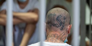 Μέλος της συμμορίας MS-13