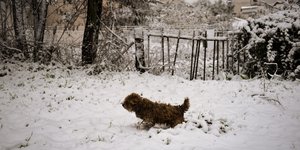 Winter Returns to Northern Greece as Cold Front Arrives