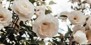 Φωτογραφία Unsplash