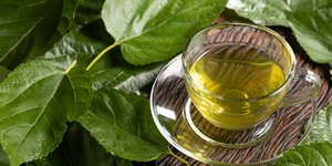 Το τσάι που περιέχει 22 φορές περισσότερο ασβέστιο από το γάλα -Η λύση για την οστεοπόρωση