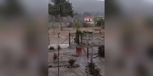 Από άνοιξη... φθινόπωρο: Το έστρωσε μετά από ισχυρή χαλαζόπτωση στην Τεγέα Αρκαδίας [βίντεο]