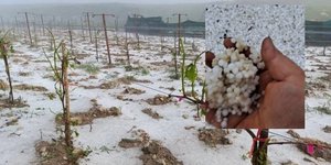 Χαλαζόπτωση προκάλεσε καταστροφές σε καλλιέργειες στην Κρήτη