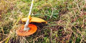 Χορτοκοπτικό