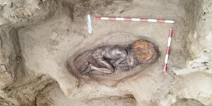 Αρχαιολόγοι στο Περού ανακοίνωσαν ότι ανακάλυψαν τα λείψανα μιας ευγενούς γυναίκας, ηλικίας 5.000 ετών, στην ιερή πόλη Κάραλ, αποκαλύπτοντας τον σημαντικό ρόλο που έπαιζαν οι γυναίκες στο παλαιότερο κέντρο πολιτισμού στην Αμερική. Υπουργείο Πολιτισμού του Περού