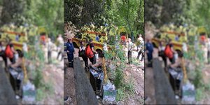 νέδα