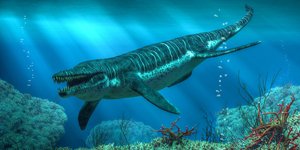 Θαλάσσιο ερπετό