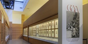 Άποψη από την έκθεση Francisco Goya