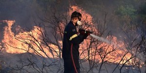 Greece Launches Wildfire Volunteer Training Amid Season Fears