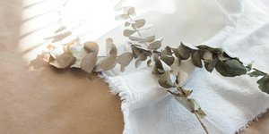 Ποιο αποξηραμένο φυτό μπλοκάρει την ενέργεια στο σπίτι σας, σύμφωνα με ειδικό του φενγκ σούι