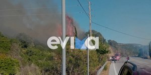 Φωτιά σε ξερά χόρτα και πεύκα στην Εύβοια