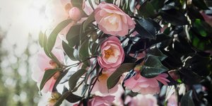 Φωτογραφία Unsplash
