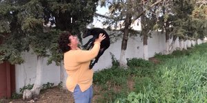 Μάγδα Κοντογιάννη: Η τελευταία γυναίκα κτηνοτρόφος στην Αθήνα έχει μαντρί με αιγοπρόβατα ανάμεσα σε πολυκατοικίες