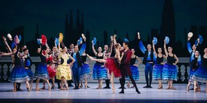 δον κιχωτης